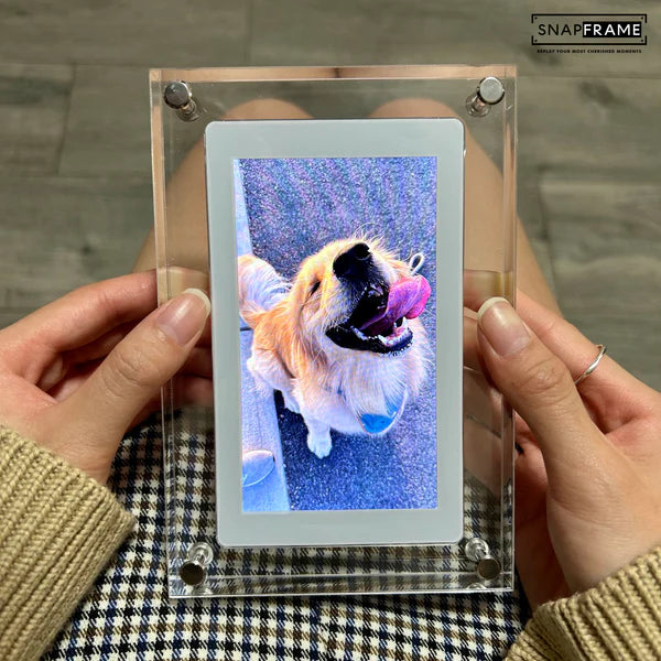 SnapLens™ Digital Video Frame