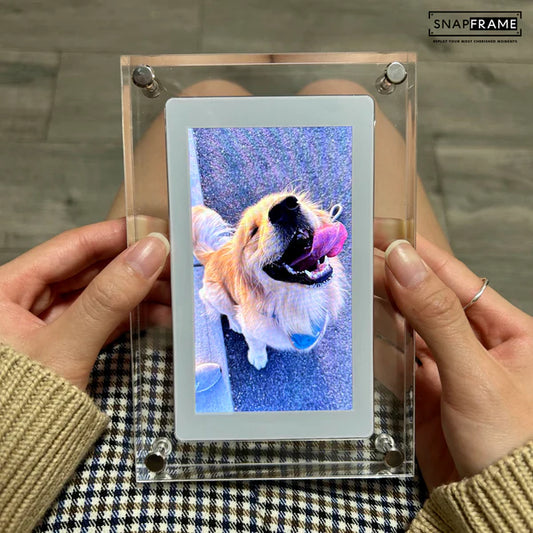 SnapLens™ Digital Video Frame