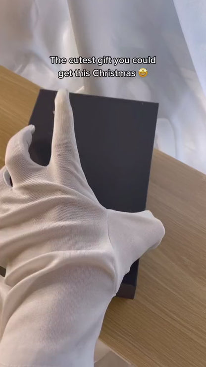 SnapLens™ Digital Video Frame