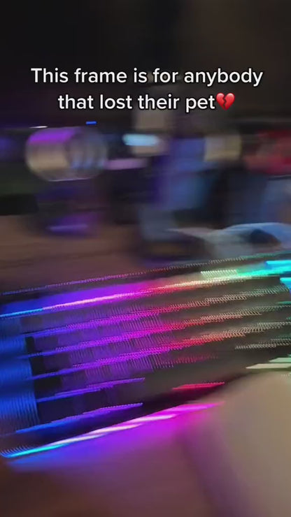 SnapLens™ Digital Video Frame